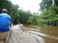 Taman_Negara_Dschungelbootsfahrt_P1050077