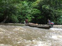 Taman_Negara_Dschungelbootsfahrt_IMG_0169
