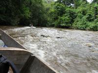 Taman_Negara_Dschungelbootsfahrt_IMG_0173