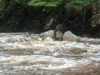 Taman_Negara_Badestelle_P1050086