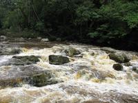 Taman_Negara_Badestelle_IMG_0187