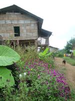 Cameron_Highland_Orang_Asli_Dorf_P1050103