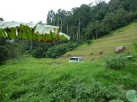 Cameron_Highland_Orang_Asli_Dorf_P1050107