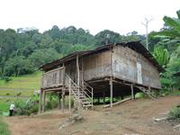 Cameron_Highland_Orang_Asli_Dorf_P1050108