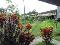 Batang_Ai_Iban_Langhaus_P1050294