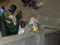 Kuala_Lumpur_Batu_Caves_P1050099