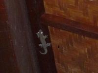 Taman_Negara_Mutiara_Resort_Tiere_P1050100