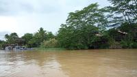 Sandakan_Kinabatangan_Riverside_Lodge_P1050455