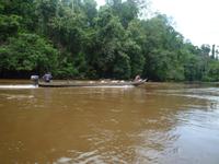 Taman_Negara_Dschungelbootsfahrt_P1050078