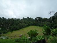 Cameron_Highland_Orang_Asli_Dorf_P1050113