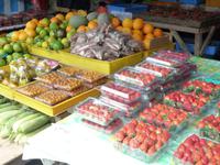 Cameron_Highland_Markt_P1050199