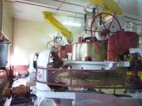 Cameron_Highland_Teeplantage_P1050234