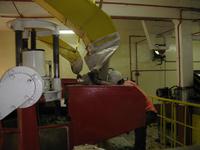 Cameron_Highland_Teeplantage_IMG_0310