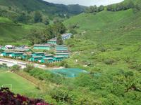Cameron_Highland_Teeplantage_P1050241