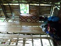 Cameron_Highland_Besuch_bei_Orang_Aslis_P1050247