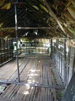 Cameron_Highland_Besuch_bei_Orang_Aslis_P1050254