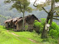 Cameron_Highland_Besuch_bei_Orang_Aslis_IMG_0334