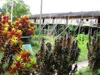 Batang_Ai_Iban_Langhaus_IMG_0380