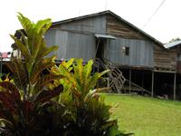 Batang_Ai_Iban_Langhaus_IMG_0397