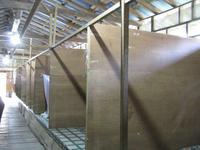 Batang_Ai_Langhaus_Unterkunft_IMG_0413