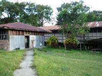 Batang_Ai_Iban_Langhaus_P1050302