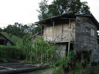 Batang_Ai_Iban_Langhaus_IMG_0420