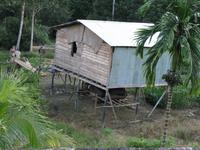 Batang_Ai_Iban_Langhaus_IMG_0421