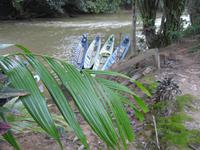 Batang_Ai_Iban_Langhaus_IMG_0433