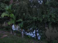 Batang_Ai_Langhauserkundung_IMG_0459