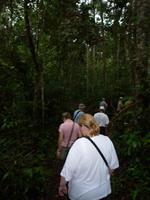 Batang_Ai_Dschungelwanderung_P1050371