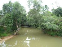 Batang_Ai_Langhaus_Mittagessen_P1050376