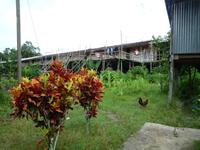 Batang_Ai_Langhaus_Mittagessen_P1050377