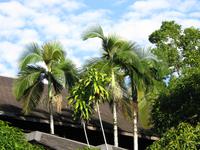 Batang_Ai_Hilton_Langhaus_Resort_IMG_0565