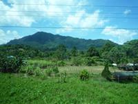 Batang_Ai_Hilton_Langhaus_Resort_P1050394