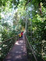 Batang_Ai_Wasserfall_P1050400