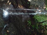 Batang_Ai_Wasserfall_P1050404