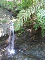 Batang_Ai_Wasserfall_P1050405