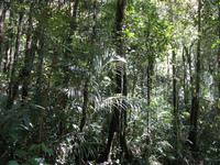 Kota_Kinabalo_Berggarten_IMG_0619