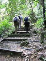 Kota_Kinabalo_Poring_Springs_IMG_0679