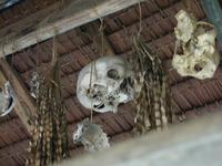 Kota_Kinabalo_Stadtrundfahrt_IMG_0926