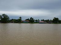 Sandakan_Kinabatangan_Riverside_Lodge_IMG_0819
