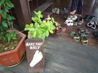 Sandakan_Kinabatangan_Riverside_Lodge_P1050453