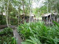 Sandakan_Kinabatangan_Riverside_Lodge_P1050459