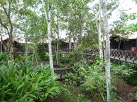 Sandakan_Kinabatangan_Riverside_Lodge_P1050461