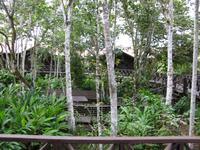 Sandakan_Kinabatangan_Riverside_Lodge_IMG_0832