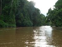 Sandakan_Tierentdeckung_P1050464