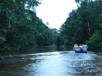 Sandakan_Tierentdeckung_P1050496