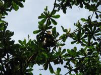 Sandakan_Motorbootfahrt_IMG_0880