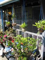 Labuan_Wasserdorf_IMG_0962