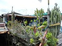 Brunei_Bootsfahrt_Wasserdorf_P1050575